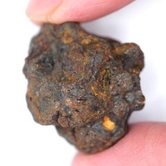 Meteorite - Pallasite - Sericho - 26.44 grams