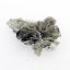 Moldavite - Besednice 1.50 grams