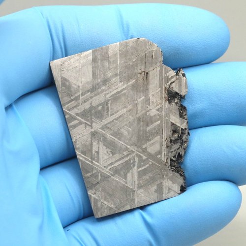 Železný meteorit Muonionalusta - Švédsko - 31,31 gramů