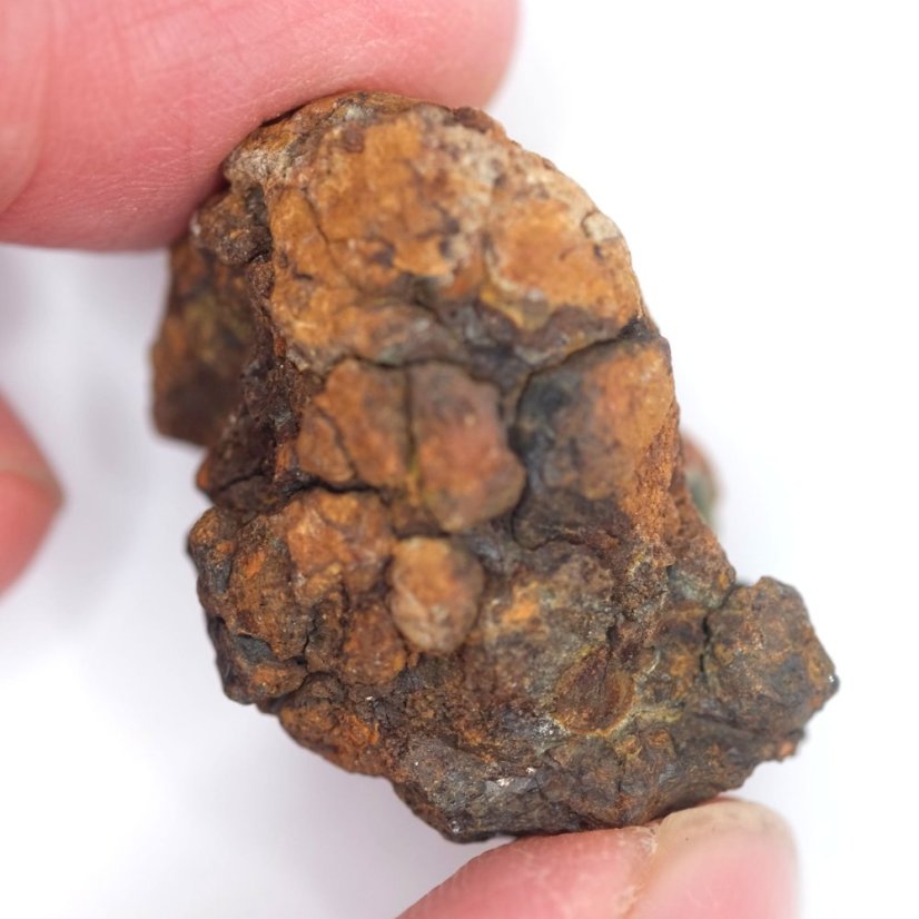 Meteorit - Pallasit - Sericho - 22,78 gramů