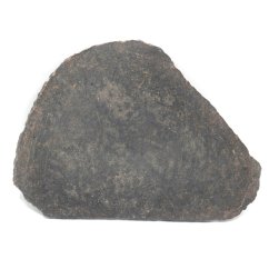 Meteorite NWA XXX (unclassified) – cut slice – 30.04 grams