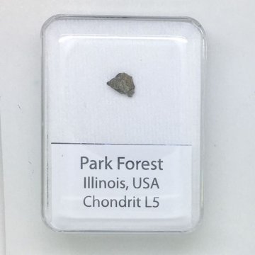 Park Forest - Chondrite L5 - USA - Description language - Polski