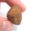 Kamenný meteorit - Gao Guenie - 23,49 gramů