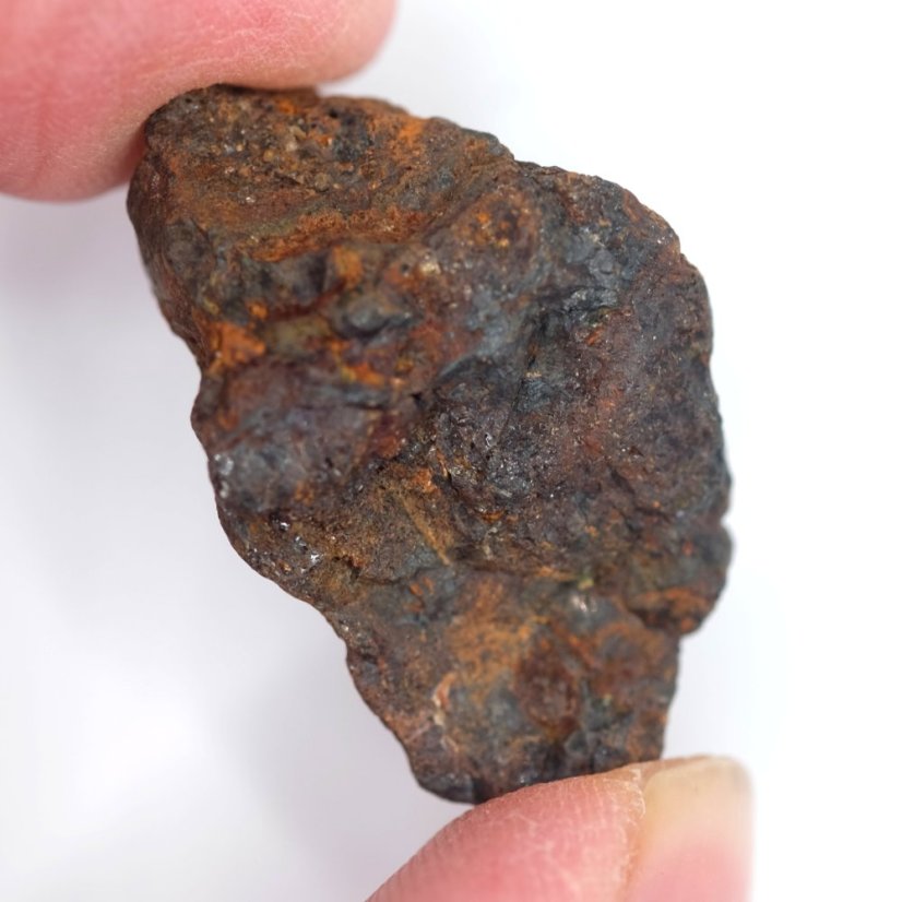 Meteorit - Pallasit - Sericho - 20,36 gramů