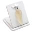 Libyan Desert Glass Pendant – 3.53 g of Cosmic History Within Reach-KOPIE