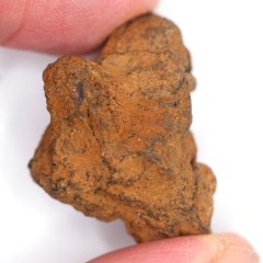 Meteorite - Pallasite - Sericho - 25.46 grams