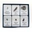 Collectible set of meteorites - 6 specimens from Oman and Russia
