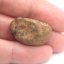 Stone Meteorite - Gao Guenie - 16.62 grams
