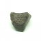 Kamenný meteorit - NWA 869 - 6,23 gramů