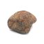 Stone Meteorite - Gao Guenie - 16.71 grams