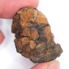 Meteorit - Pallasit - Sericho - 22,78 gramů