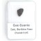 Stone Meteorite - Gao Guenie - 1.038 grams