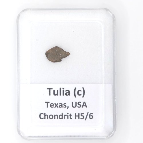 Stone Meteorite - Tulia (c) - 0.242 grams