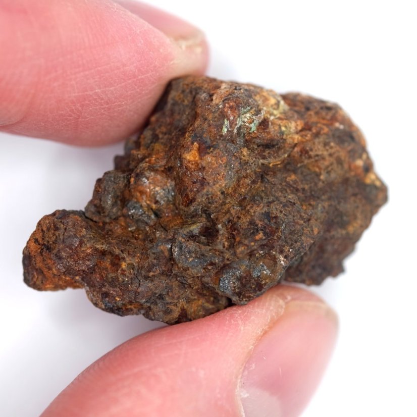 Meteorit - Pallasit - Sericho - 23,26 gramů