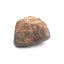 Kamenný meteorit - Gao Guenie - 19,62 gramů