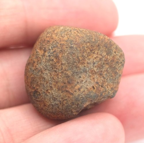 Stone Meteorite - Gao Guenie - 22.29 grams