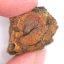 Meteorite - Pallasite - Sericho - 19.93 grams