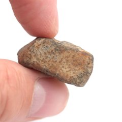 Stone Meteorite - Gao Guenie - 14.69 grams