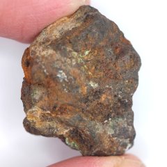 Meteorit e- Pallasite - Sericho - 20.36 grams