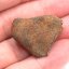 Kamenný meteorit - Gao Guenie - 14,71 gramů