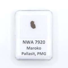 Pallasit - NWA 7920 - 0,19 gramů