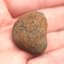 Stone Meteorite - Gao Guenie - 21.62 grams