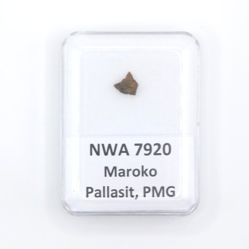 Pallasit - NWA 7920 - 0,20 gramů