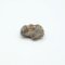 Stone meteorite NWA 14056 - 0.182 grams
