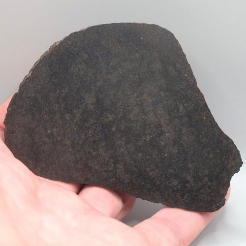 Meteorit NWA XXX (neklasifikovaný) – nařezaný plátek - 31,31 gramů