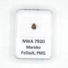 Pallasite - NWA 7920 - 0.24 grams