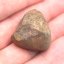 Kamenný meteorit - Gao Guenie - 23,44 gramů