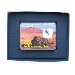 Meteorit Imilac - Pallasit - 0,106 gramů