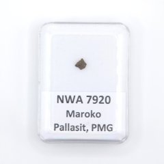 Pallasit - NWA 7920 - 0,11 gramů