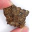 Meteorite - Pallasite - Sericho - 26.01 grams