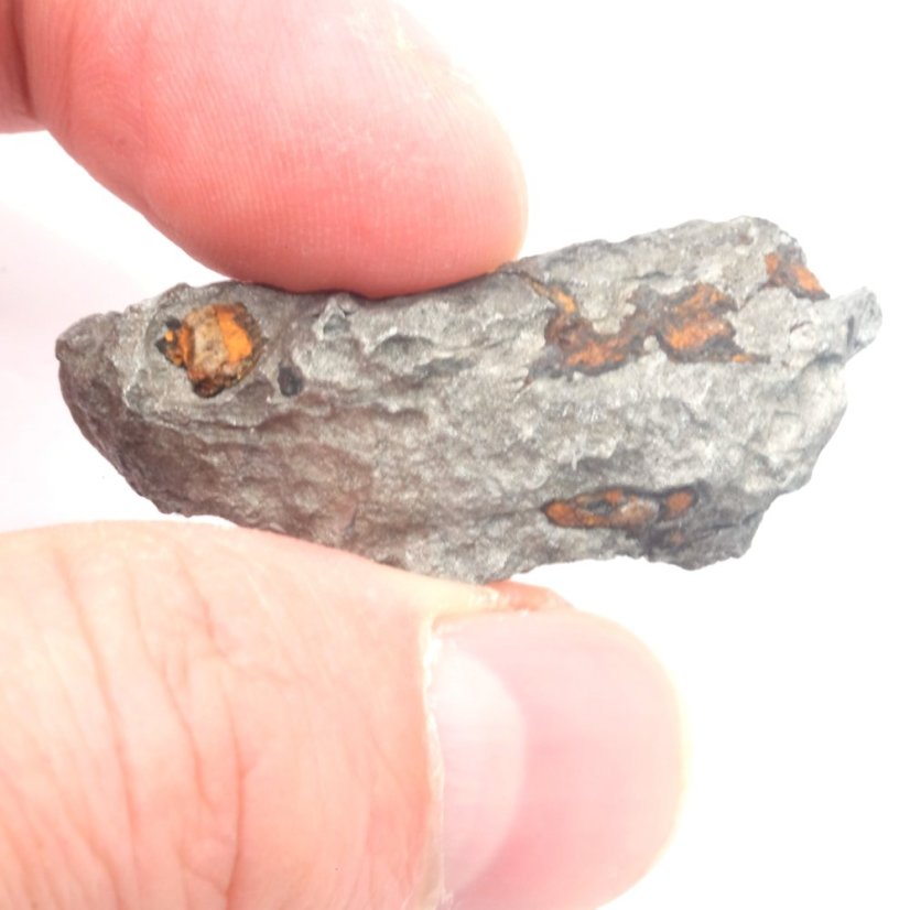 Železný meteorit - Sichote Alin - 21,00 gramů