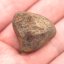 Kamenný meteorit - Gao Guenie - 23,44 gramů