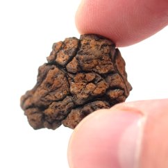 Pallasite - Sericho - 12.83 grams