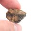 Meteorit - Pallasit - Sericho - 11,55 gramů