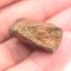 Kamenný meteorit - Gao Guenie - 14,71 gramů
