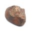 Kamenný meteorit - Gao Guenie - 23,44 gramů