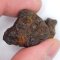 Meteorite - Pallasite - Sericho - 23.68 grams