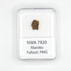 Pallasite - NWA 7920 - 0.81 grams