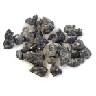 NWA 13258 - Carbonaceous chondrite CV3