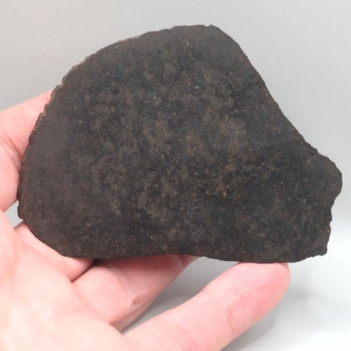 Meteorite NWA XXX (unclassified) – cut slice – 32.08 grams
