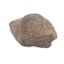 Kamenný meteorit - Gao Guenie - 19,92 gramů