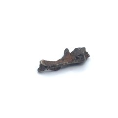 Meteorite Imilac - Pallasite 0.106 grams