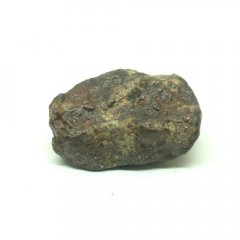 Stone meteorite - NWA 869 - 5.55 grams
