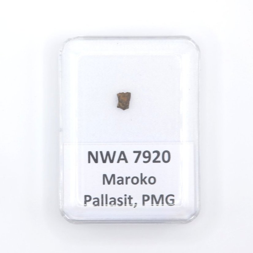 Pallasite - NWA 7920 - 0.11 grams Pallasite - NWA 7920 - 0.11 grams