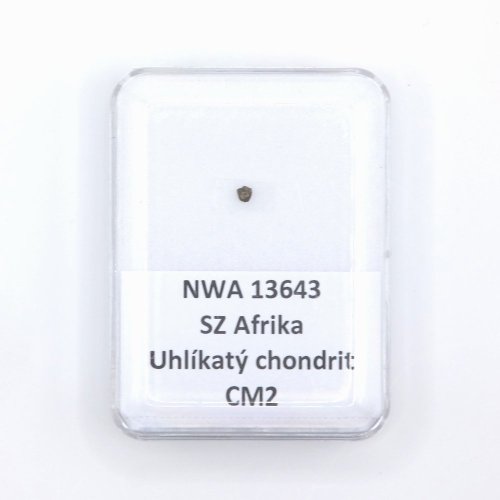 Uhlíkatý chondrit - NWA 13643 - 0,012 gramů