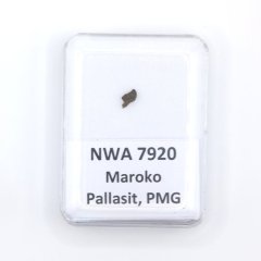 Pallasit - NWA 7920 - 0,06 gramů